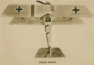 Pfalz: Pfalz DIII