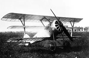 Pfalz: Pfalz Dr I German fighter triplane