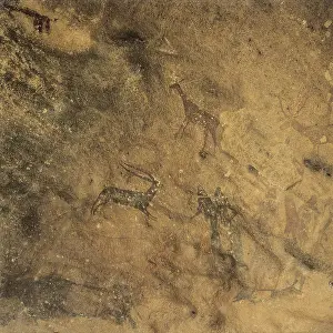 Mesolithic: Phallic dance. Mesolithic art. Cave. SPAIN. Barcelona