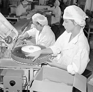 Saroch: Pharmaceutical plant