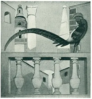 Aime: The Pheasant