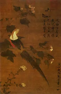 Pheasant: Pheasant and Flowers