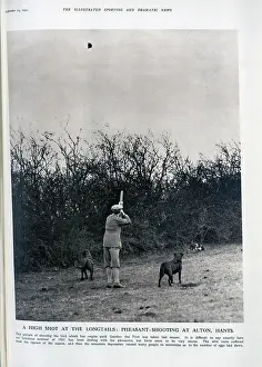 Shooters: Pheasant Shooting at Alton