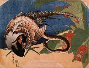 Hokusai: Pheasant and Snake, by Hokusai