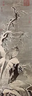 Outcropping: Pheasant in Snow