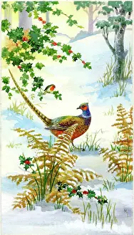 Lynes: Pheasant in the snow with robin on holly bough