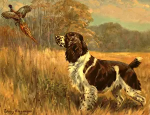 Megargee: Pheasant and Spaniel