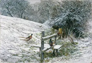 Stile: Pheasant on a stile in the snow