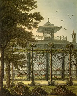 Aviary: The Pheasantry