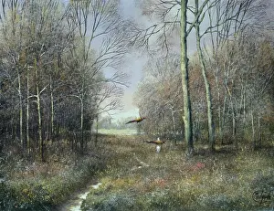 Pheasants: Pheasants in Frosty Woods