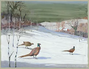 Pheasants: Three pheasants in a snowy landscape