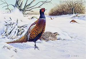 Hurle: Pheasants in a Snowy Landscape