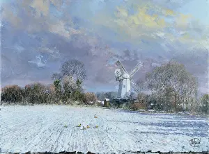 Pheasants: Pheasants in Winter Shipley Windmill