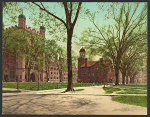 Phelps: Phelps Hall and Lyceum, Yale College