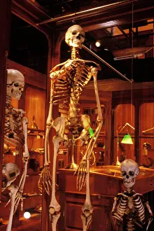 Rwn001: PHILADELPHIA, PA HUMAN SKELETON AT THE MUTTER