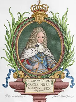Bourbon: Philip V (1683-1746). King of Spain. Engraving. Colored