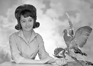 Philippa: Philippa Hopwood