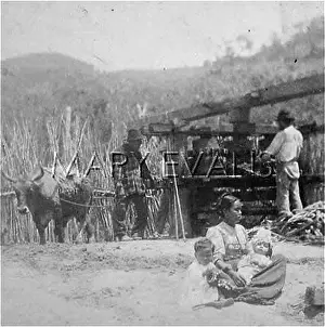 Christine Hinze: PHILIPPINES CANE SCENE