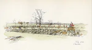 Foxhunt: Philo Gorse, in the Cheshire Hunt area