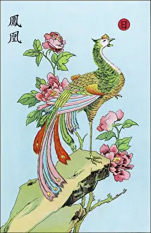 Fong: Phoenix (Chinese)