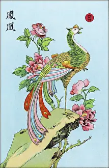 Fong: Phoenix (Chinese)