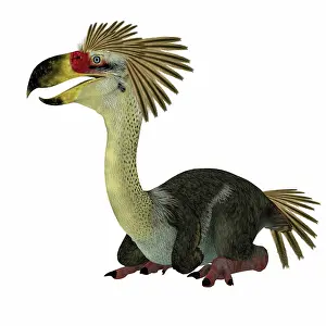 Ugliness: Phorusrhacos terror bird sitting