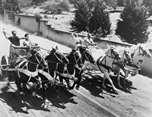 Cooperate: PHOTO FINISH