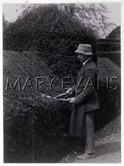 Trims: PHOTO/HEDGE CLIPPING