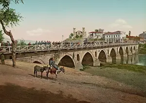 Mule: Photochrom print of Larissa, Greece