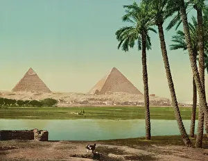 Pyramid: Photochrom print of pyramids in Cairo, Egypt