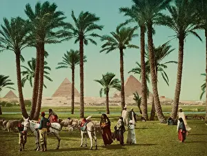 Pyramid: Photochrom print of the pyramids, Cairo, Egypt