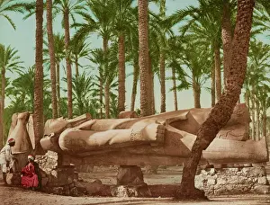 Pharaoh: Photochrom print of the statue of Ramesses II