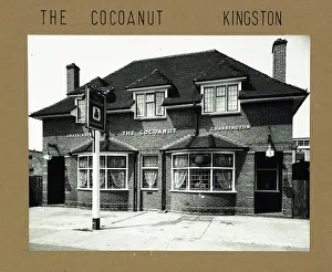 Cocoanut: Photograph of Cocoanut PH, Kingston (New), Surrey