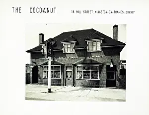 Cocoanut: Photograph of Cocoanut PH, Kingston (New), Surrey