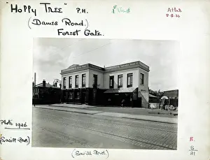 Savill: Photograph of Holly Tree PH, Forest Gate, London