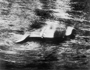 Sensation: Photograph of the Loch Ness Monster