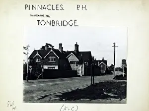 Pinnacles: Photograph of Pinnacles, Tonbridge, Kent