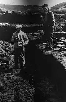 Peat: Photograph, Silkeborg Museum, Silkeborg, Jutland, Denmark