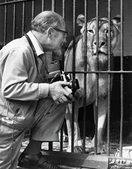 Chessington: Photographer with lioness at the zoo