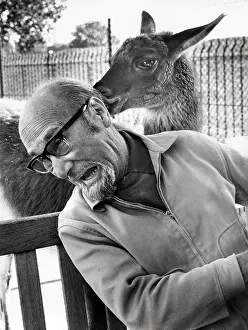 Greeted: Photographer Paul Kaye greeted by friendly llama