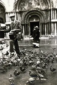 Pigeons: Photographer and Pigeons, 1923