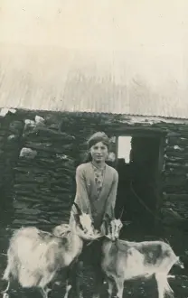 Mongoose: Photographs concerning Gef the talking mongoose