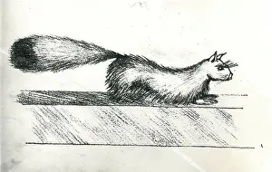 Mongoose: Photographs concerning Gef the talking mongoose