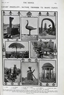 Topiary: Photographs of elaborate topiary