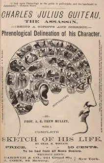 Phrenological: Phrenological chart of the brain of Guiteau