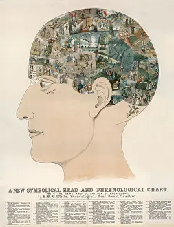 Phrenology: Phrenological Head