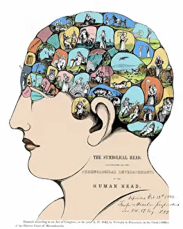 Phrenology: Phrenology, The Symbolical Head, 1842