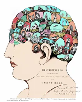 Phrenology: Phrenology, The Symbolical Head, 1842
