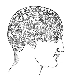 Relate: PHRENOLOGY - TRAITS