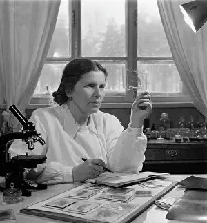 Tuberculosis: Phthisiologist Z.A.Lebedeva